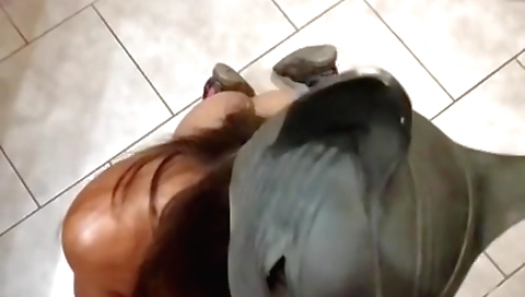 Indian teen girl deepthroat blowjob pov video 2017