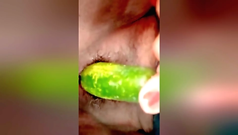 Amateur female licks her cucumber and plays with her pussy